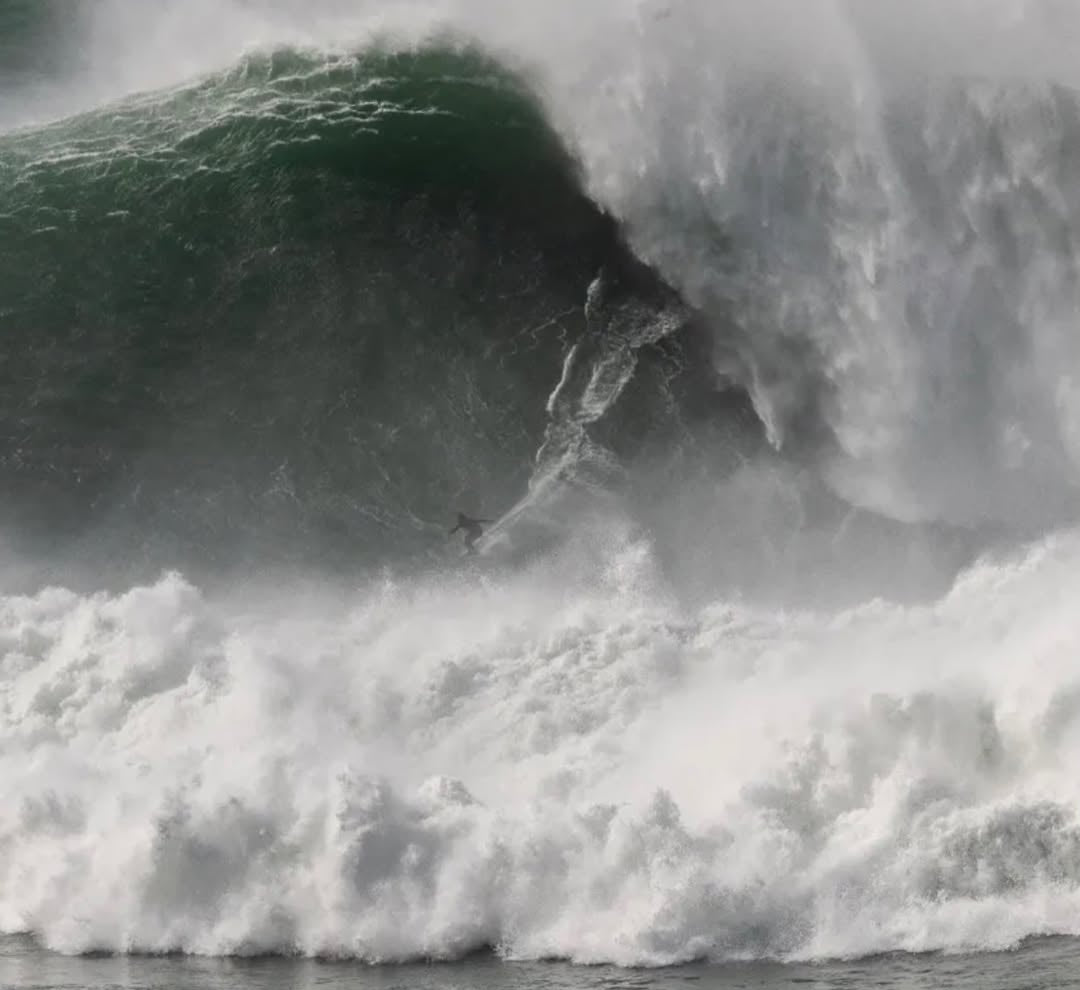 JANGA Ivo Cacao Nazare