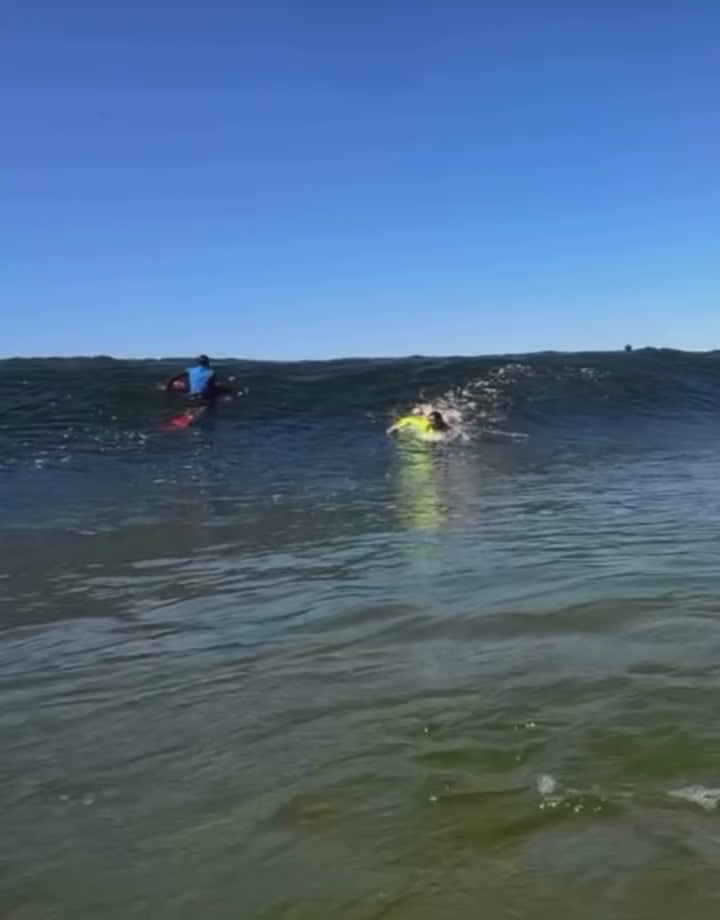 Load video: INDIGENT Lime / Grey Long Sleeve Springsuit 2/2